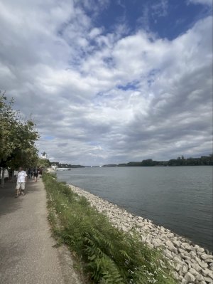 Unser erster Mammutmarsch