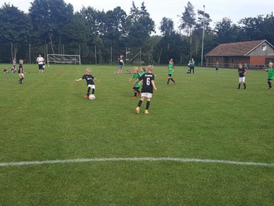 F1-Jugend gewinnt 9:4 gegen GW Lehrte