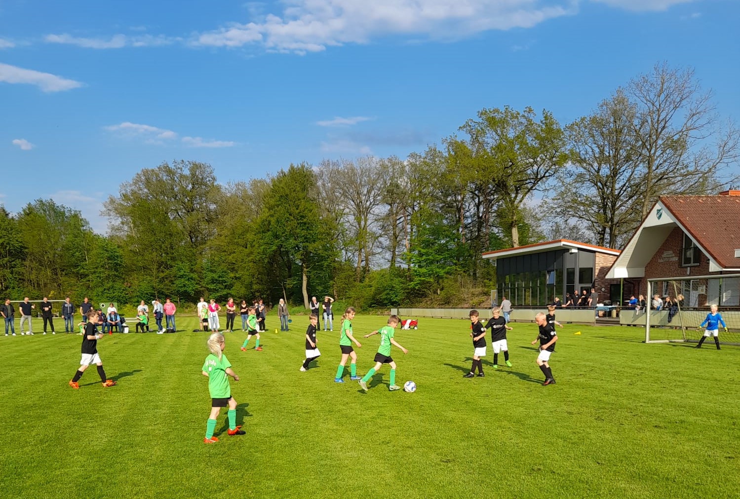 F-Jugend verliert 2:6 gegen die JSG Haselünne/Polle/Schleper III