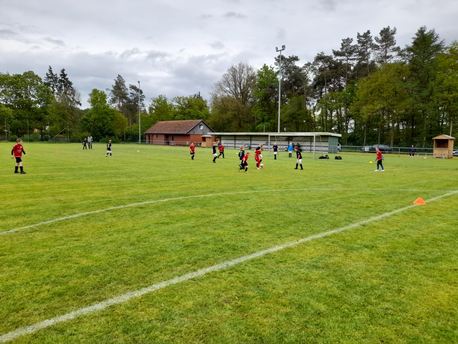 F-Jugend verliert 2:9 gegen TUS Haren