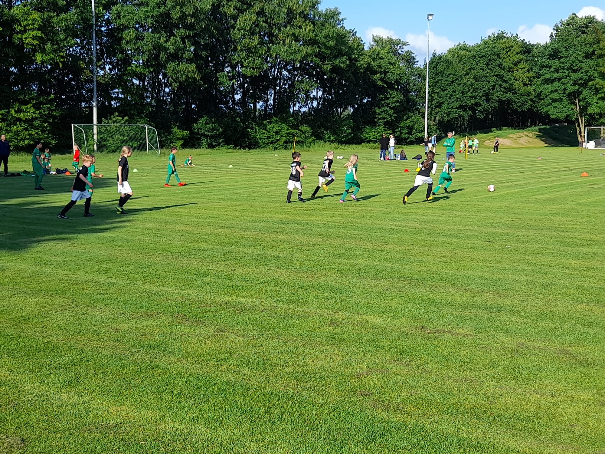 F-Jugend gewinnt 8:0 gegen Eintracht Emmeln