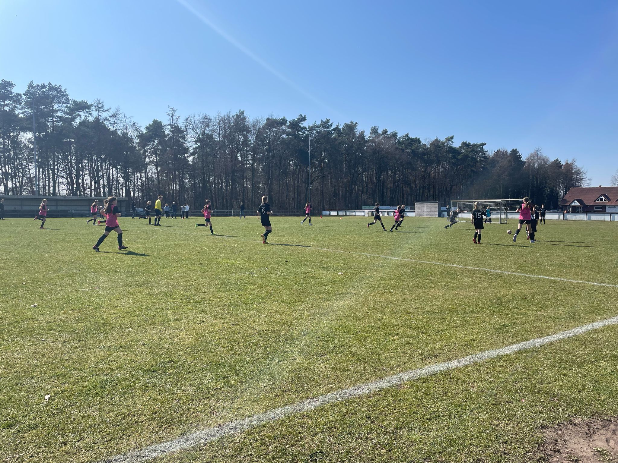 D-Juniorinnen verlieren 0:2 gegen Sparta Werlte
