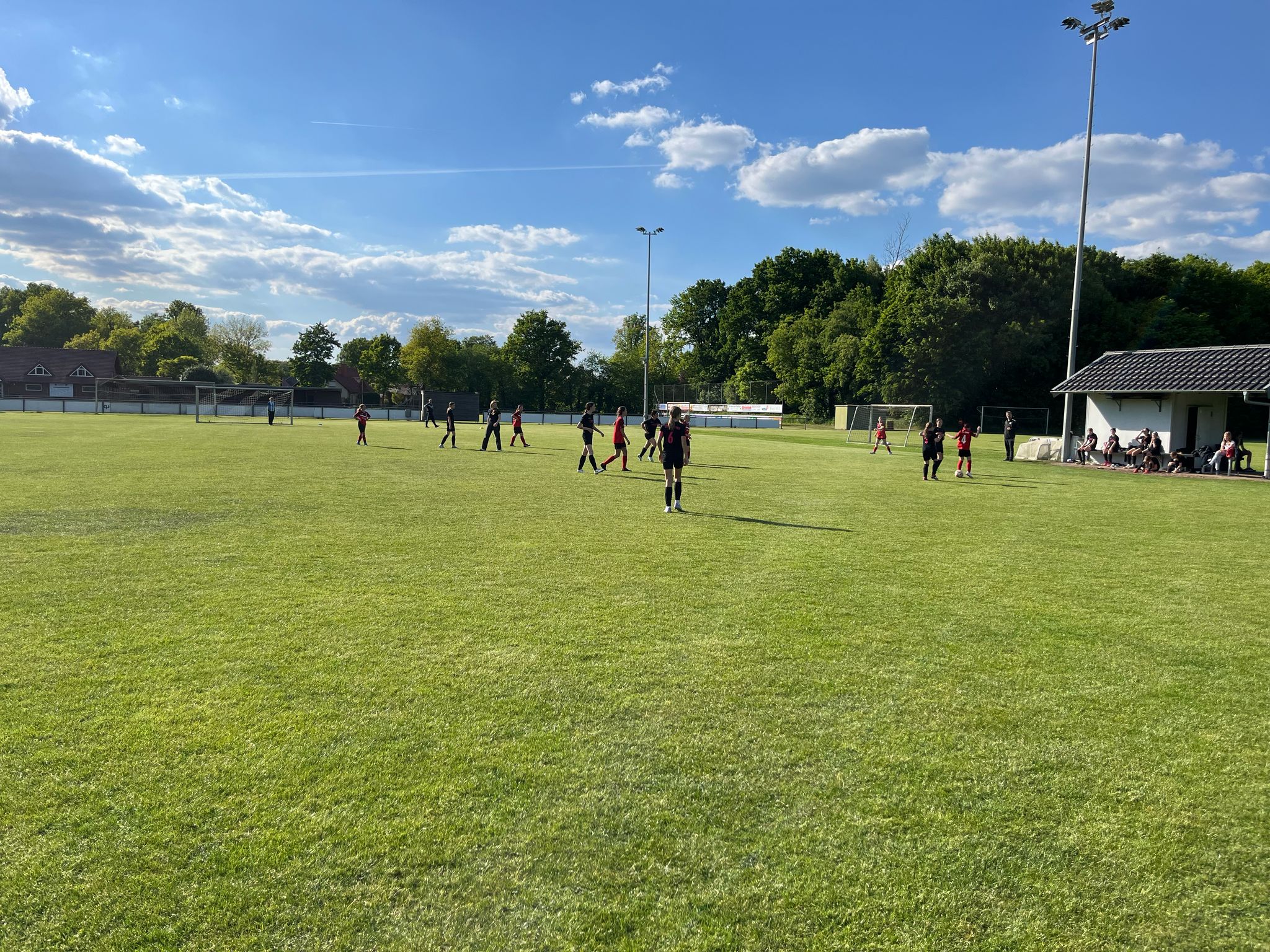 D-Juniorinnen verlieren 0:1 gegen TUS Haren